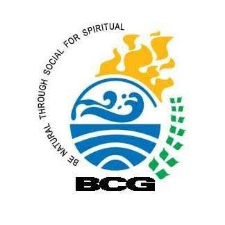 Bcg – IEC Partner